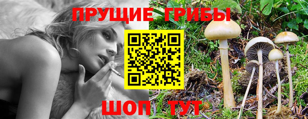 Псилоцибиновые грибы Magic Shrooms Приморско-Ахтарск