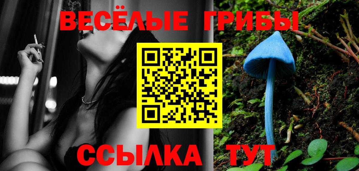 закладки  Псилоцибиновые грибы ЛСД  Псилоцибиновые грибы MAGIC MUSHROOMS  Вход с VPN  Приморско-Ахтарск 